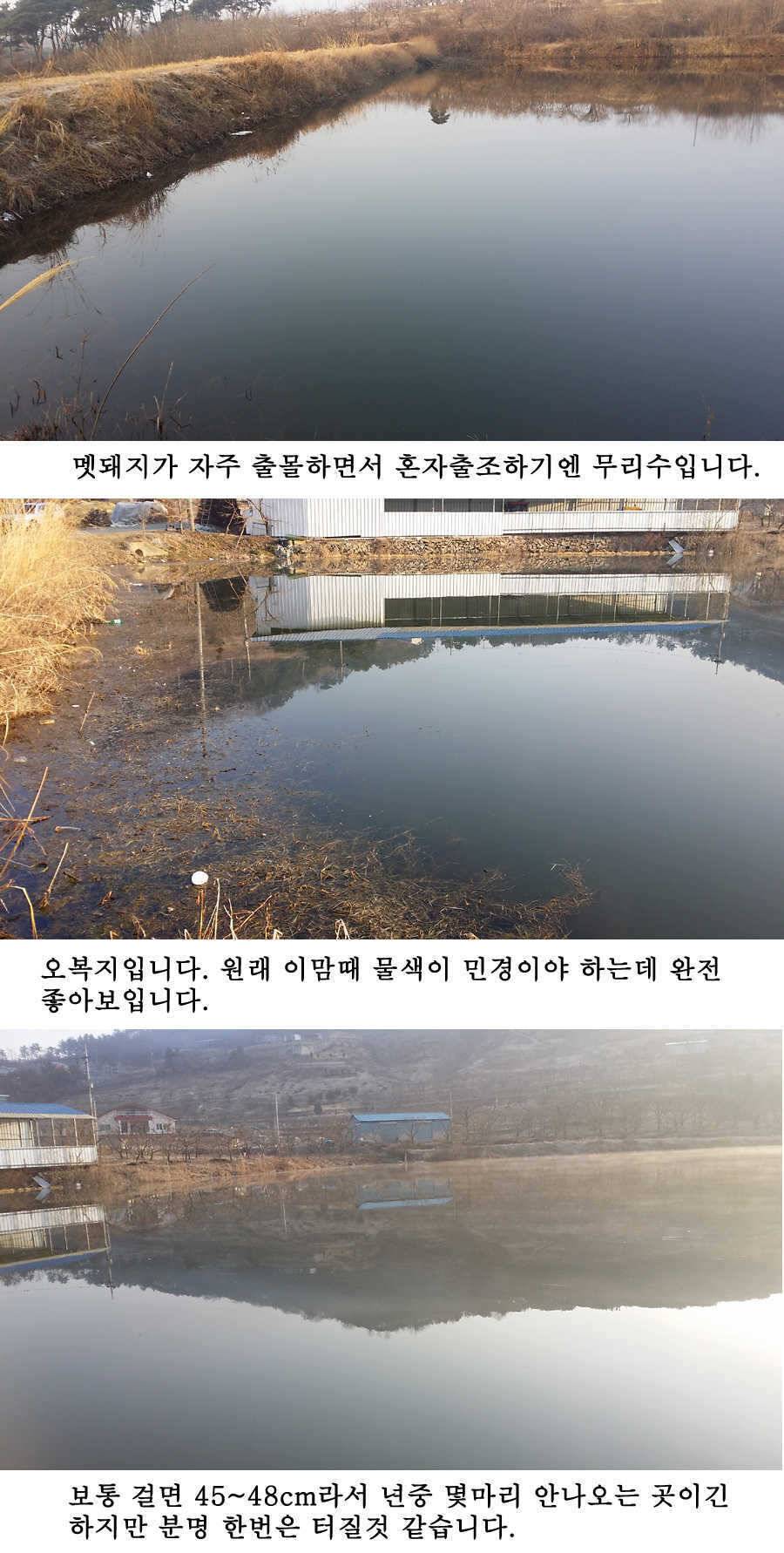 청도권 봄소식입니다 (조황조행기 - 특파원조황)
