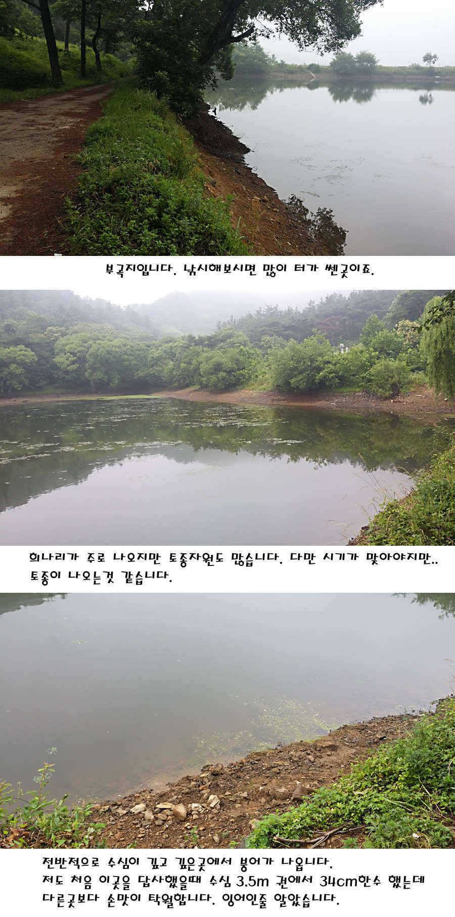 청도권 지난주 주중 조황정보 (조황조행기 - 특파원조황)
