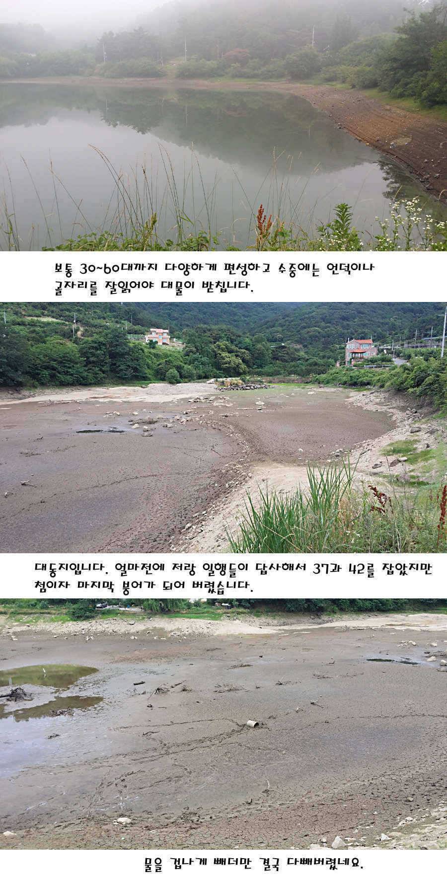 청도권 지난주 주중 조황정보 (조황조행기 - 특파원조황)