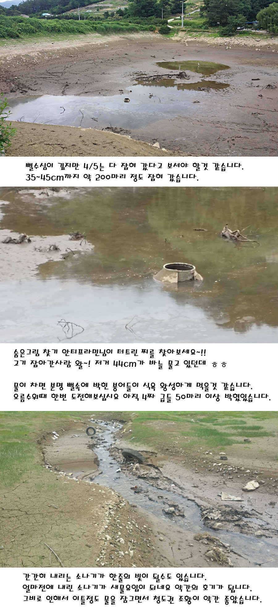 청도권 지난주 주중 조황정보 (조황조행기 - 특파원조황)