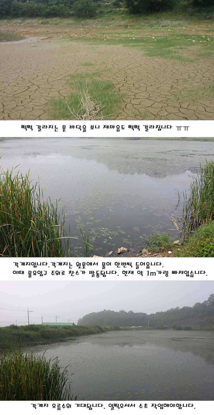 청도권 지난주 주중 조황정보 (조황조행기 - 특파원조황)