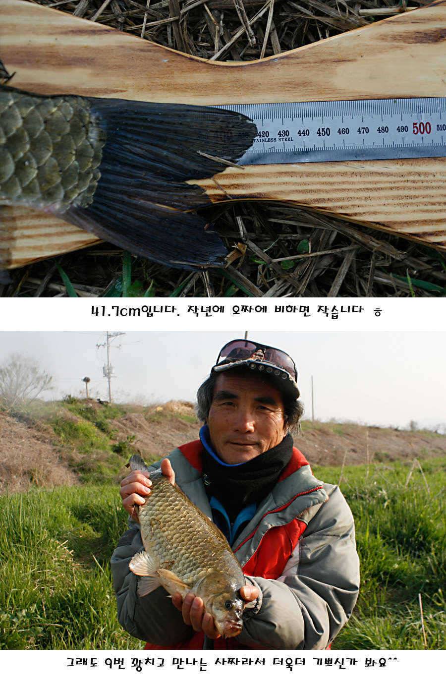 청도권 40 41 415 48cm 대물들의 반란 (조황조행기 - 특파원조황)