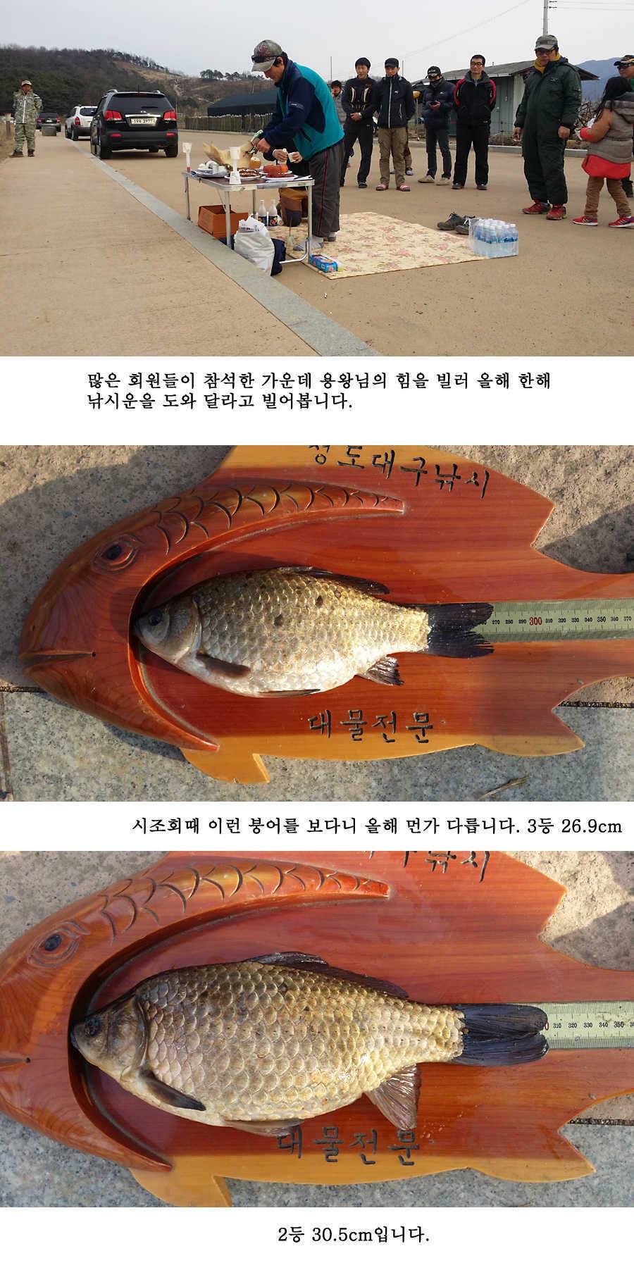 청도권 산란 임박 (조황조행기 - 특파원조황)