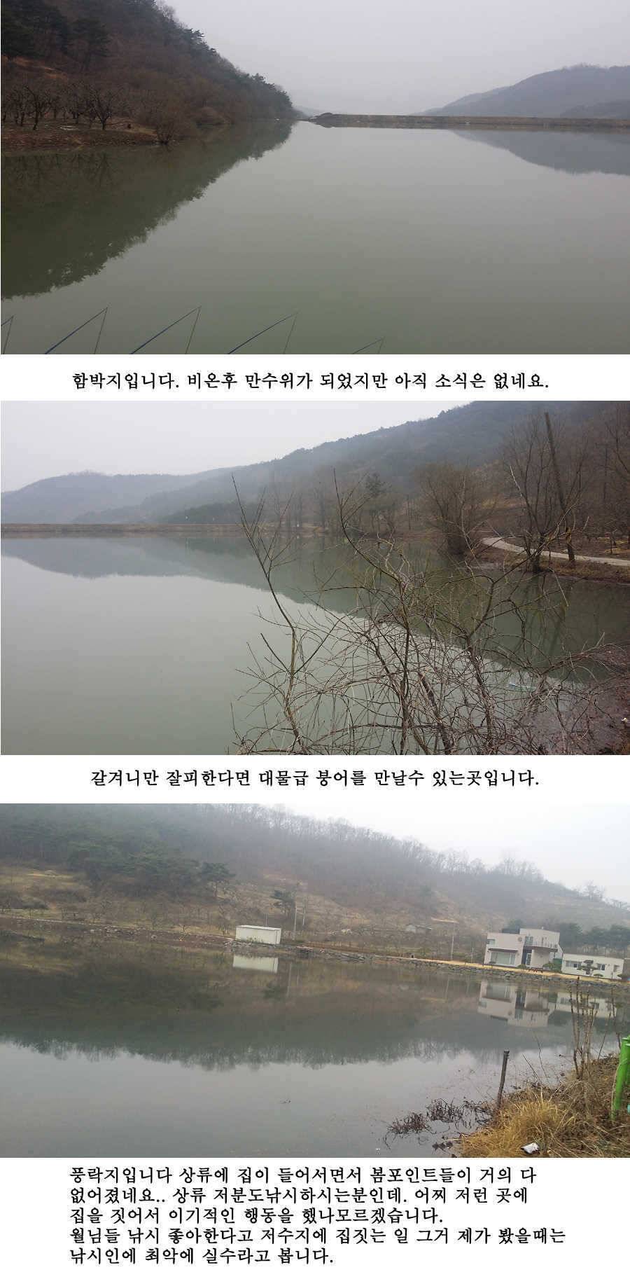 청도권 산란 임박 (조황조행기 - 특파원조황)