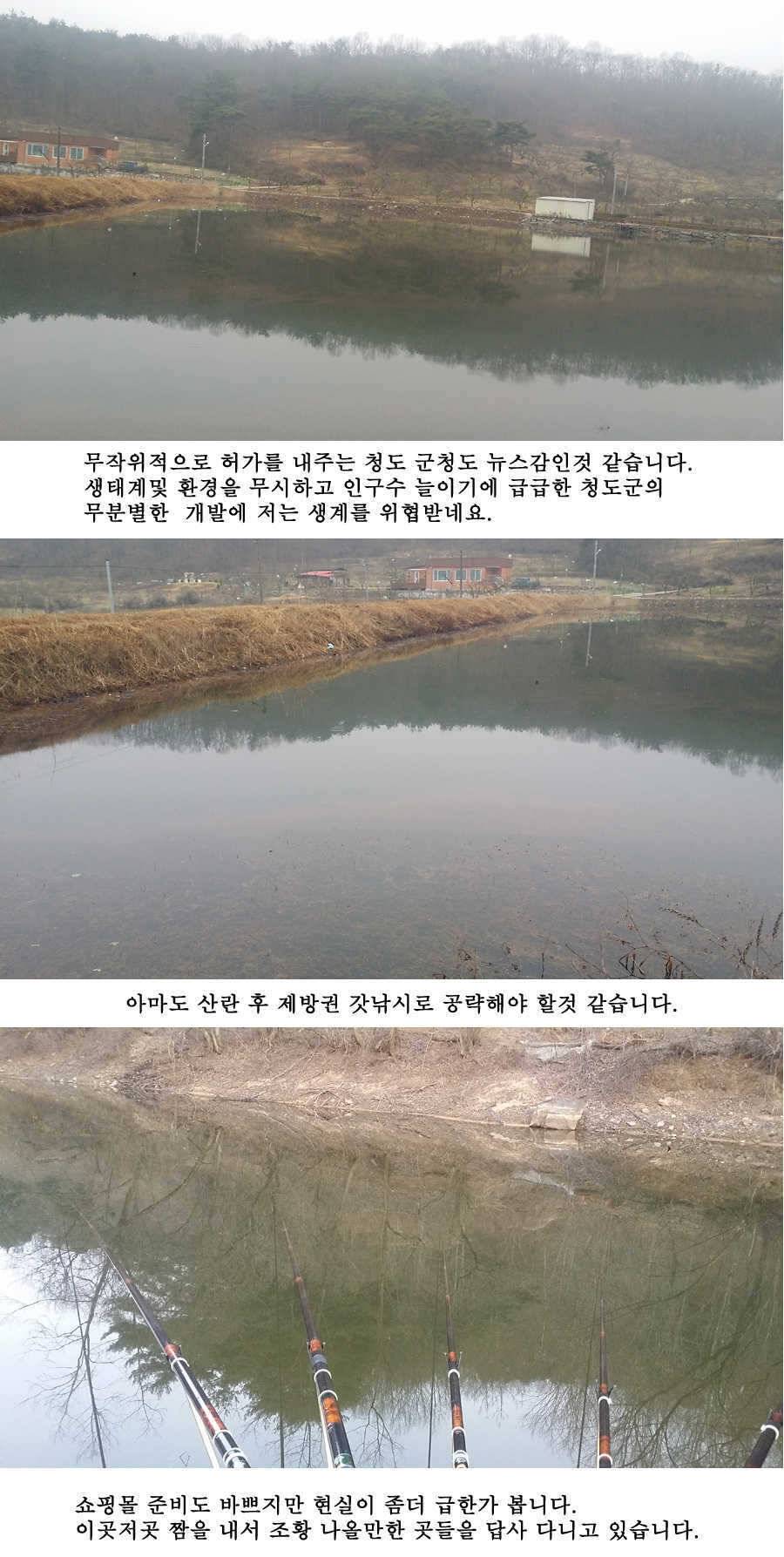 청도권 산란 임박 (조황조행기 - 특파원조황)