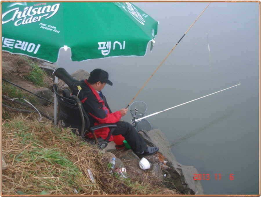 진위천 조황 소식 (조황조행기 - 특파원조황)
