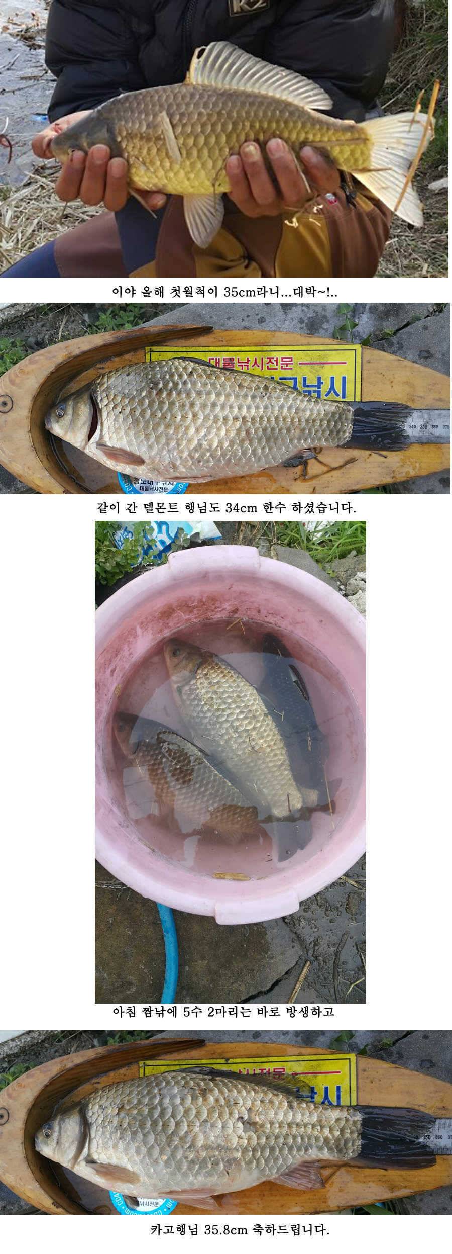 청도권 산란 임박 (조황조행기 - 특파원조황)