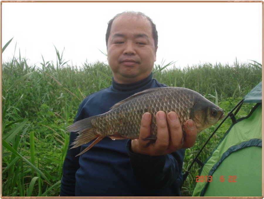 오늘의 진위천 조황 (조황조행기 - 특파원조황)