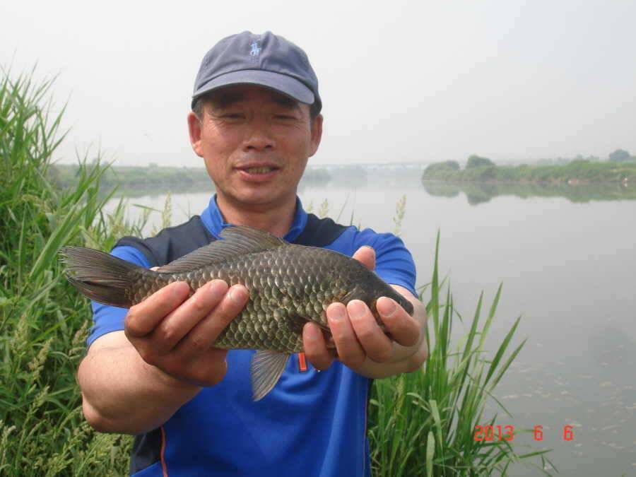 진위천 소식 (조황조행기 - 특파원조황)