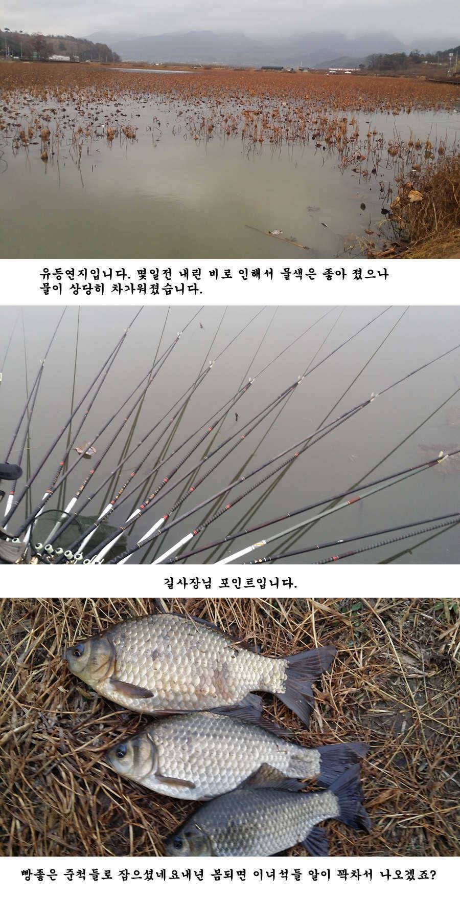 지난 청도권 조황 및 납회 (조황조행기 - 특파원조황)