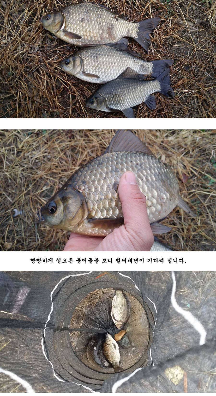 지난 청도권 조황 및 납회 (조황조행기 - 특파원조황)