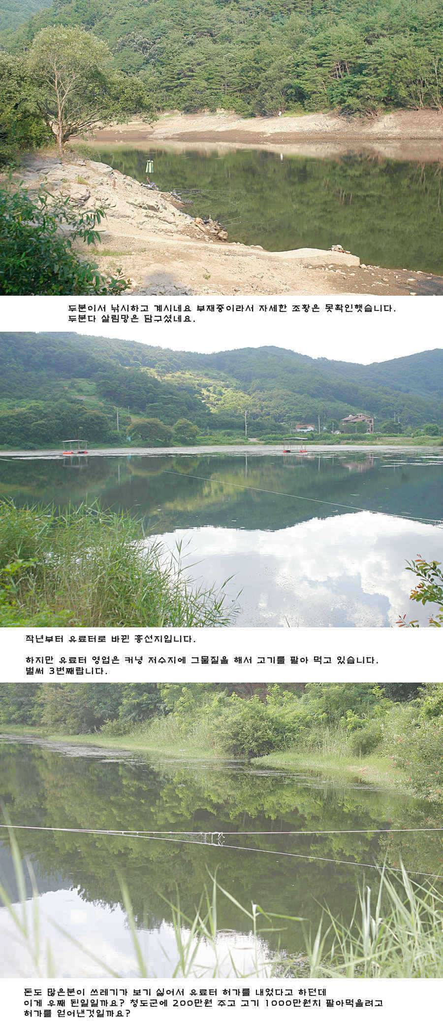 주중 청도권 조황정보 (조황조행기 - 특파원조황)