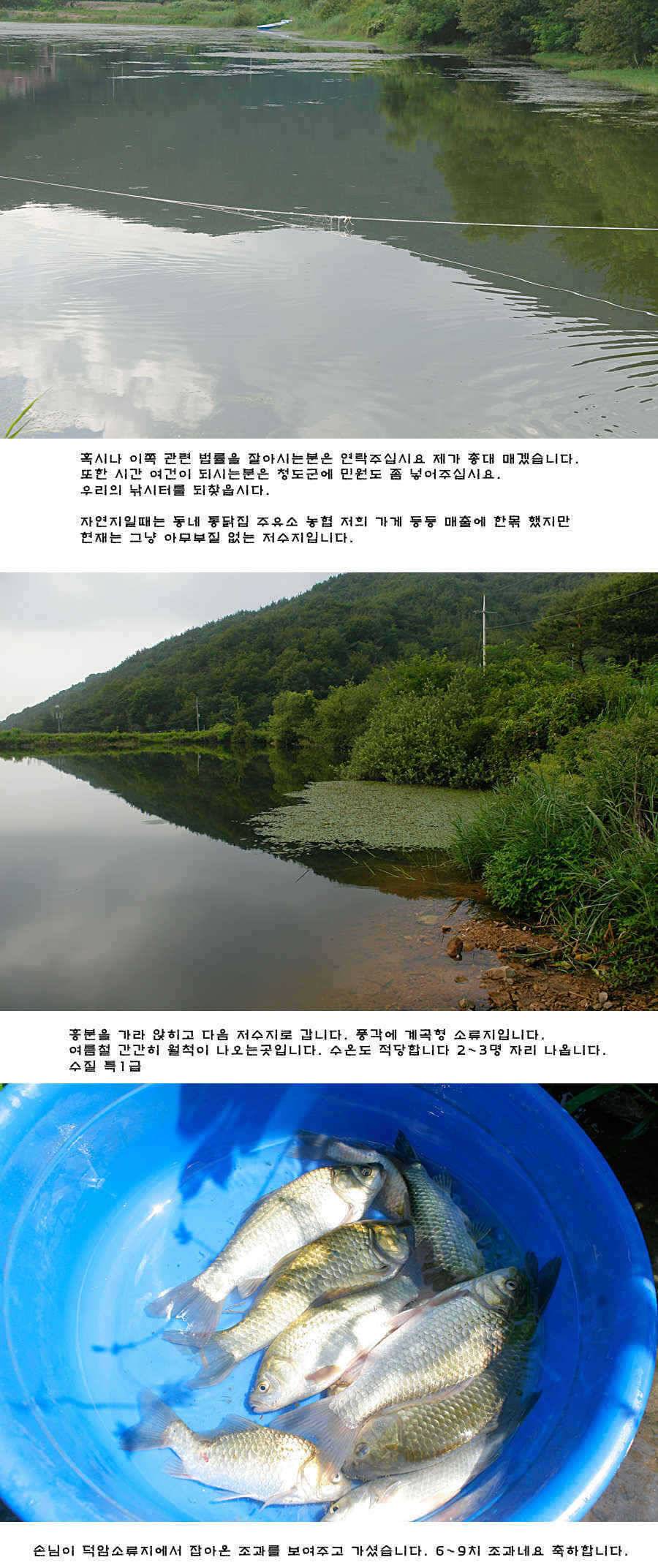 주중 청도권 조황정보 (조황조행기 - 특파원조황)