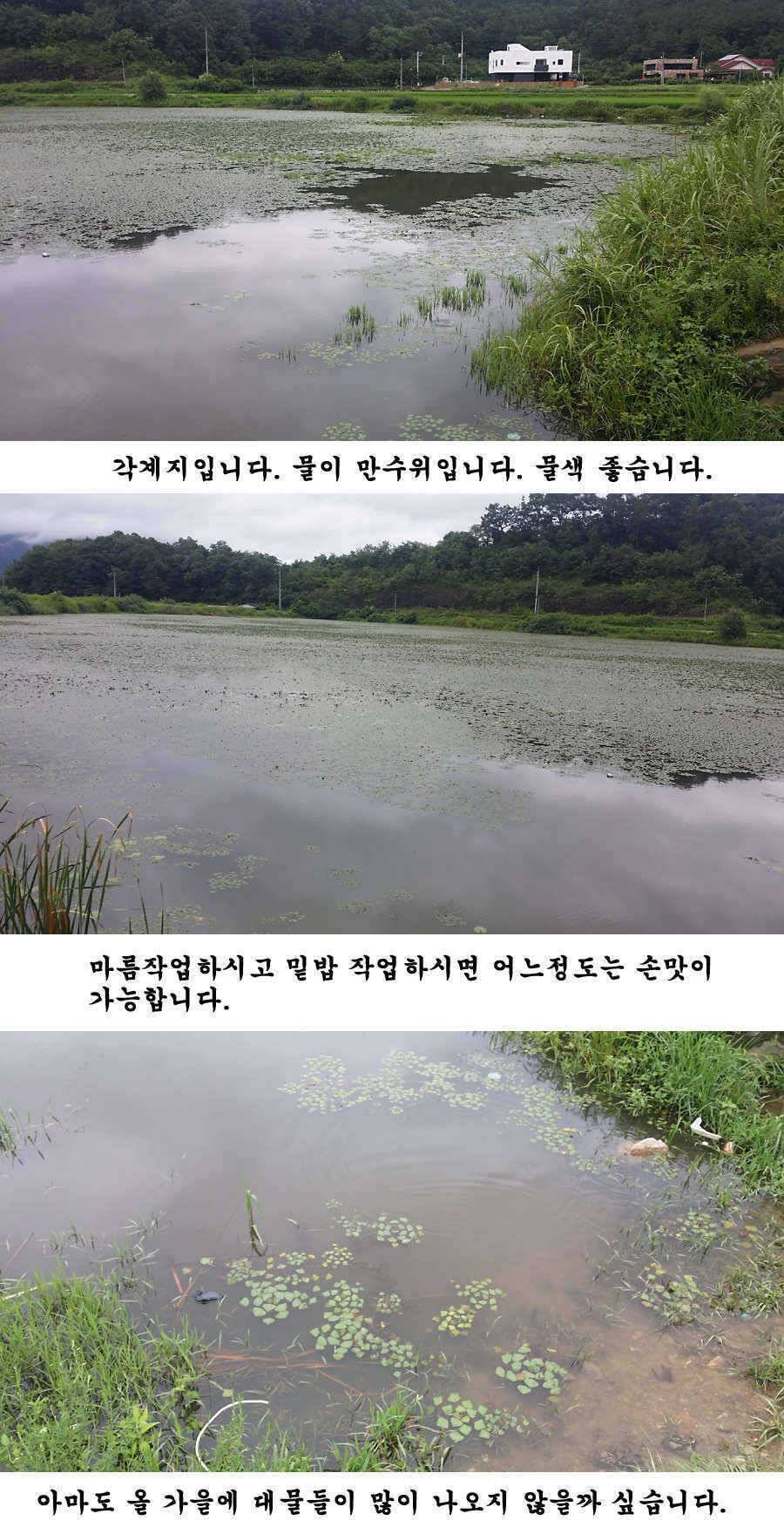청도권 주말 조황입니다 (조황조행기 - 특파원조황)