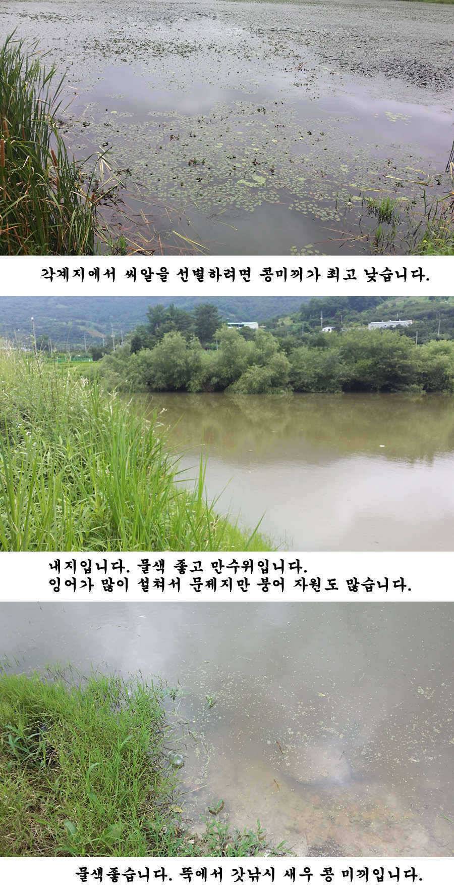 청도권 주말 조황입니다 (조황조행기 - 특파원조황)