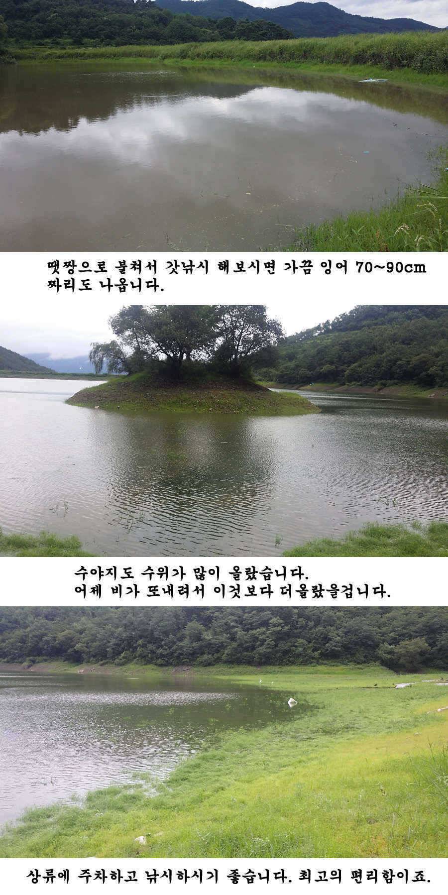 청도권 주말 조황입니다 (조황조행기 - 특파원조황)