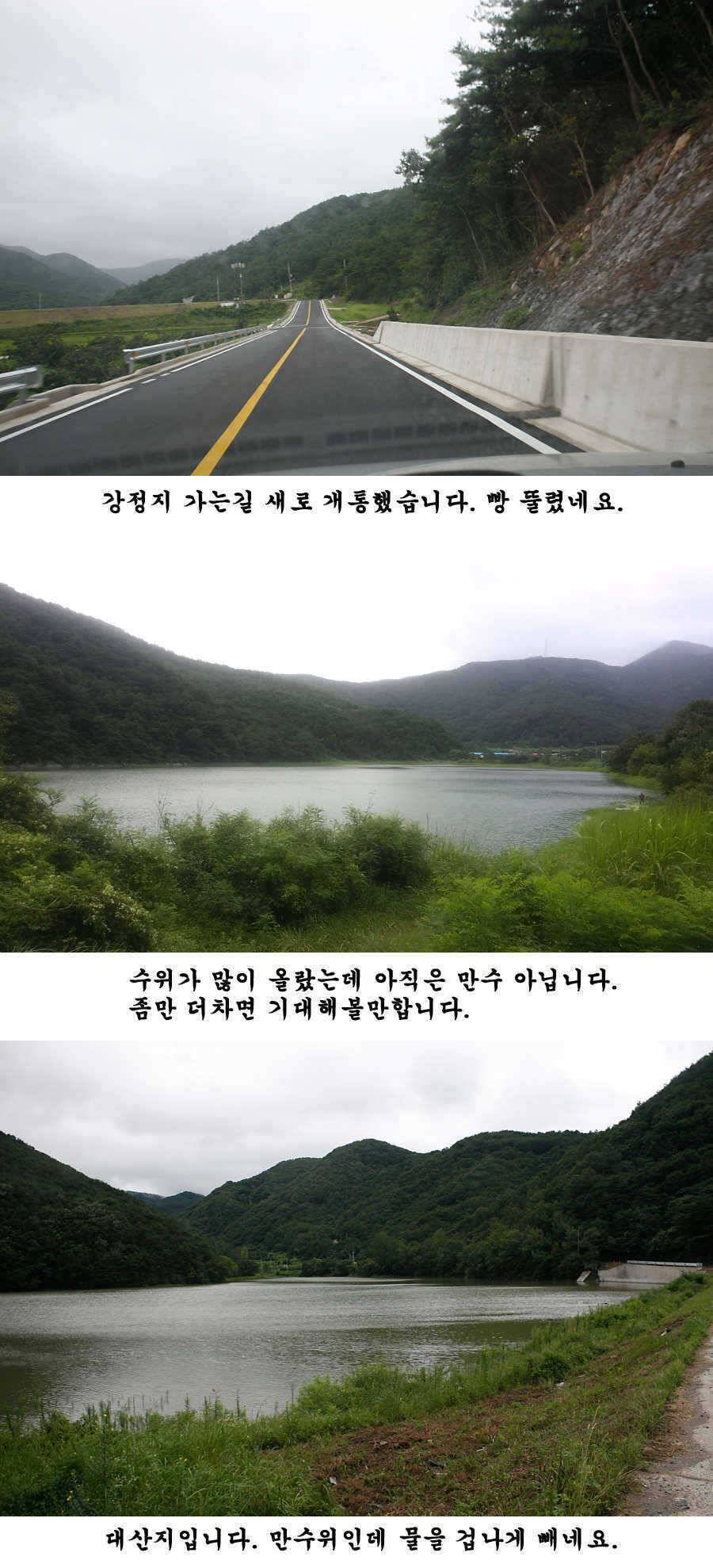 청도권 주말 조황입니다 (조황조행기 - 특파원조황)