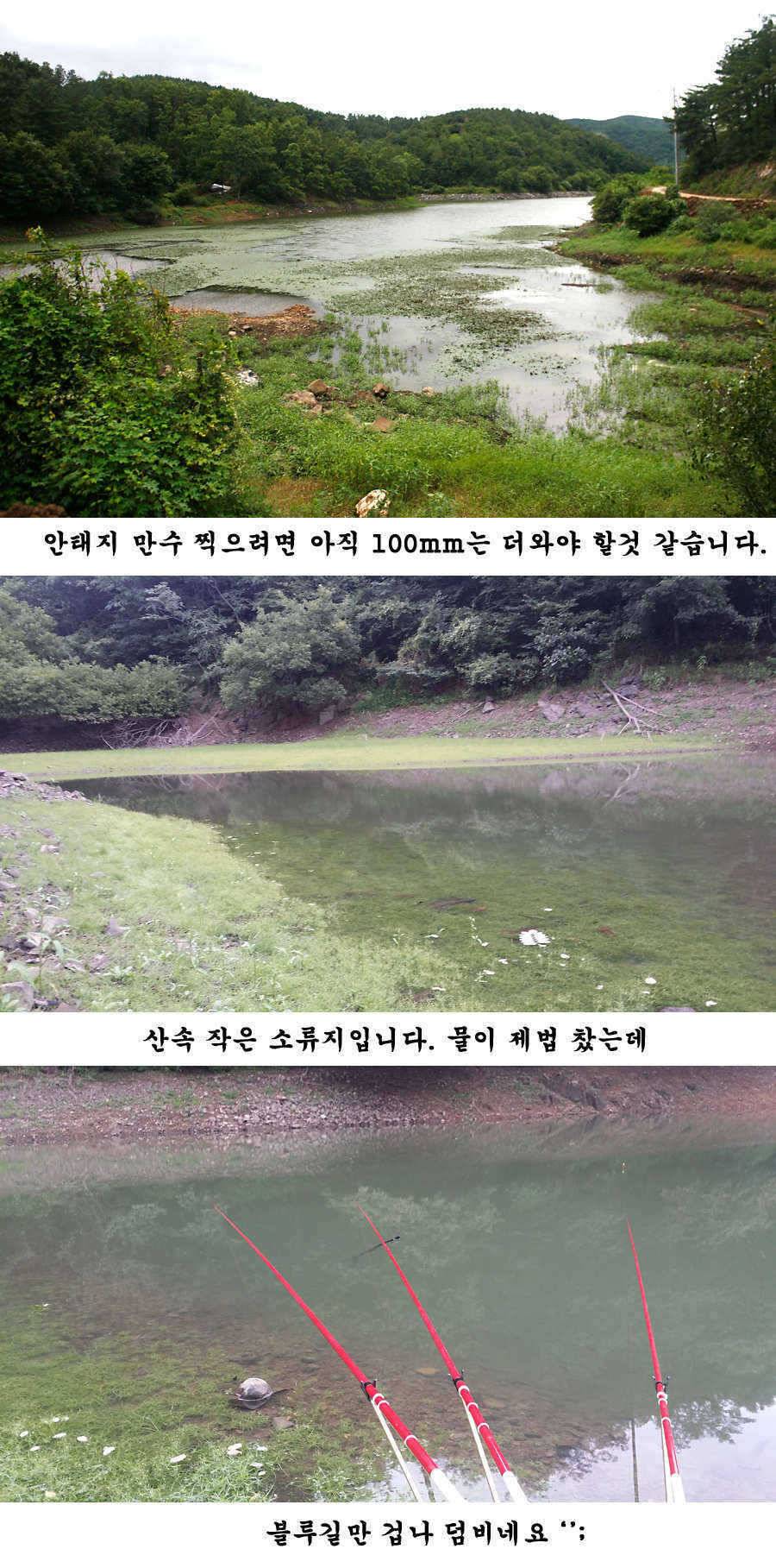 청도권 주말 조황입니다 (조황조행기 - 특파원조황)