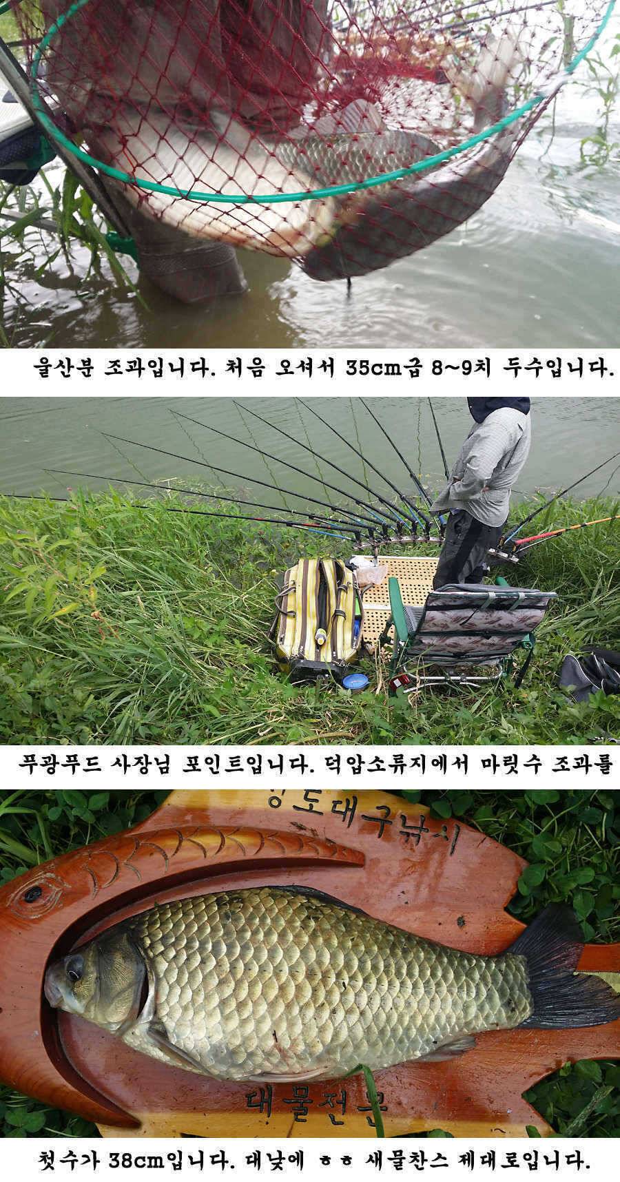 청도권 주말 조황입니다 (조황조행기 - 특파원조황)