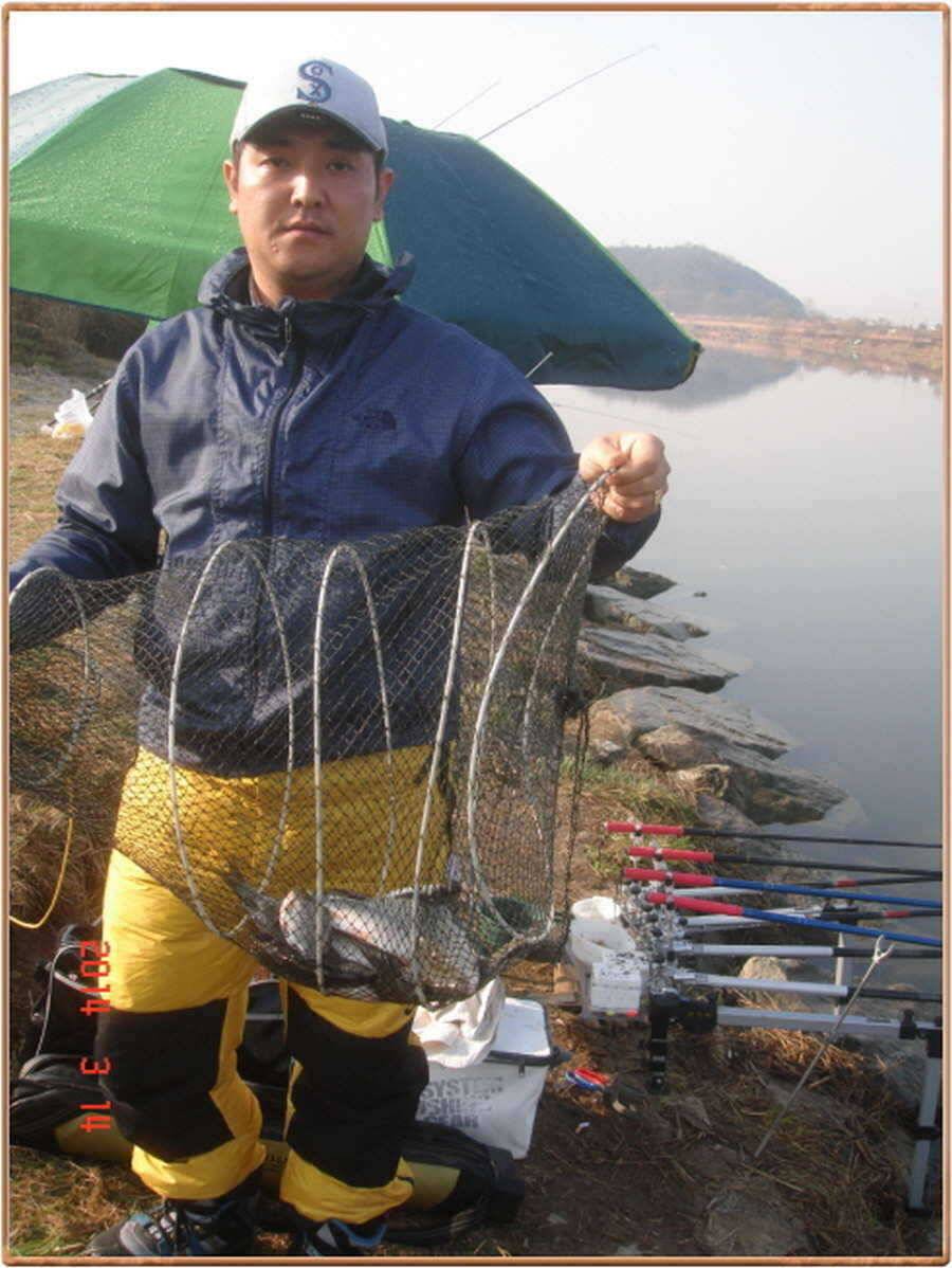 진위천 조황 소식 (조황조행기 - 특파원조황)