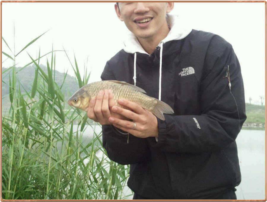 진위천 조황소식 (조황조행기 - 특파원조황)