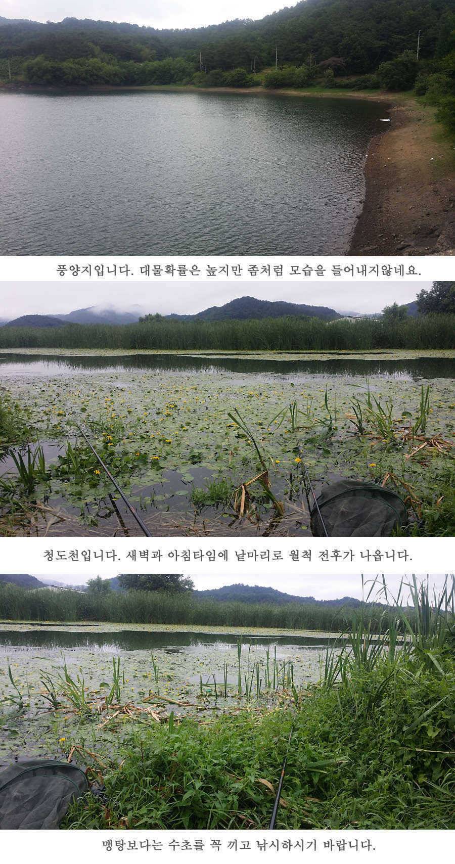 청도권 지난 조황입니다4046cm (조황조행기 - 특파원조황)