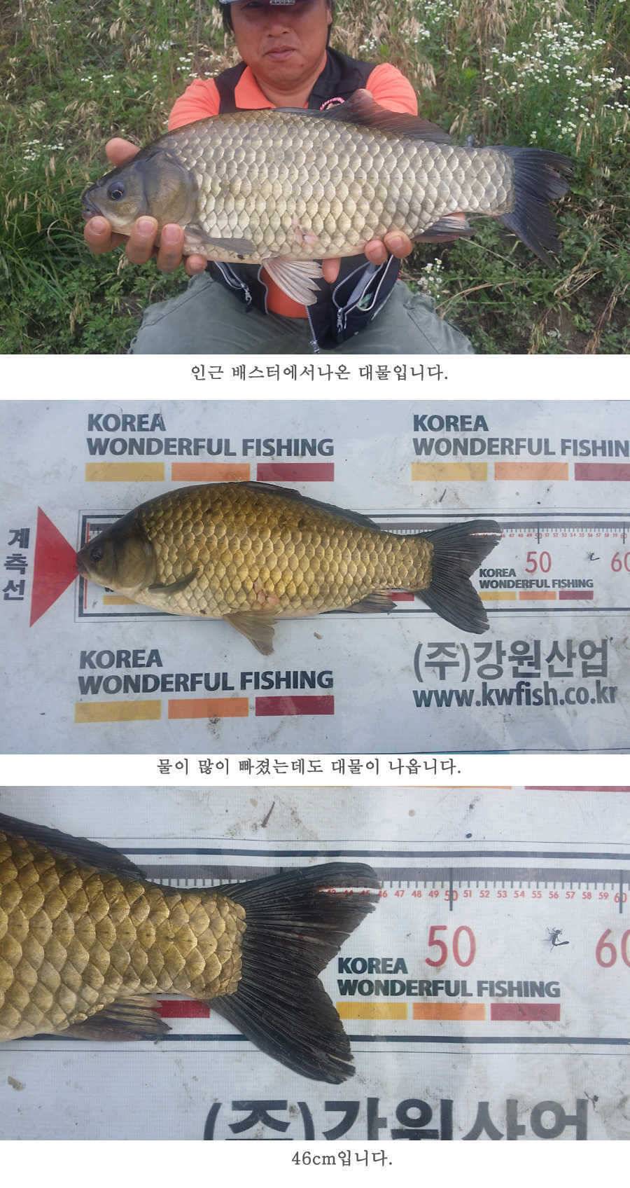 청도권 지난 조황입니다4046cm (조황조행기 - 특파원조황)