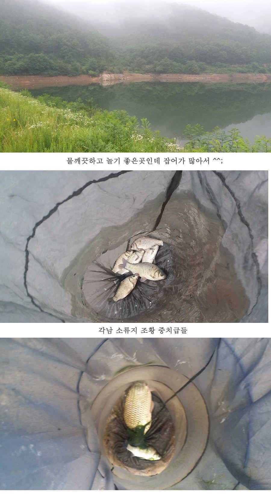 청도권 지난 조황입니다4046cm (조황조행기 - 특파원조황)