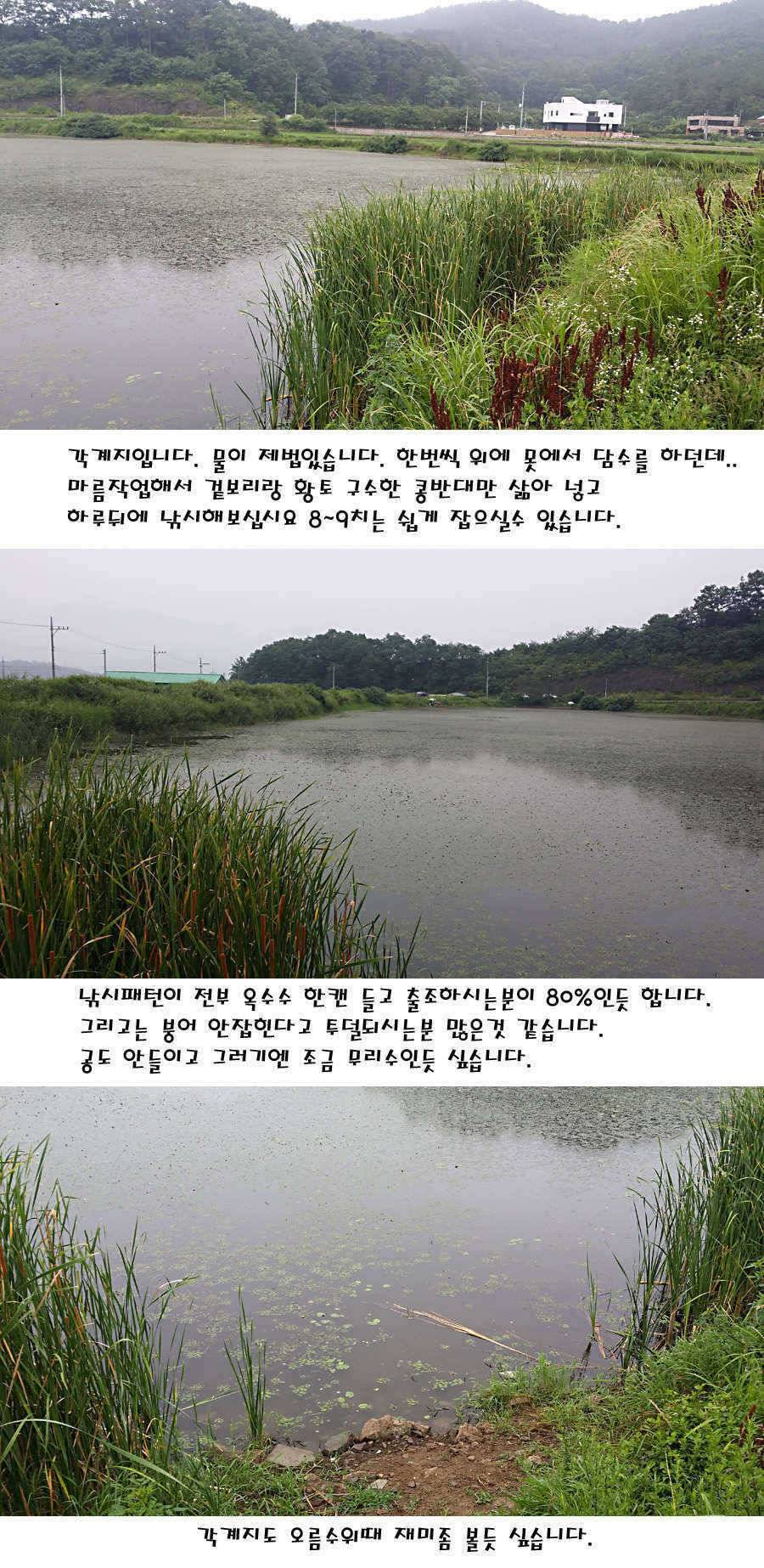 청도권 지난주 주중 조황정보 (조황조행기 - 특파원조황)
