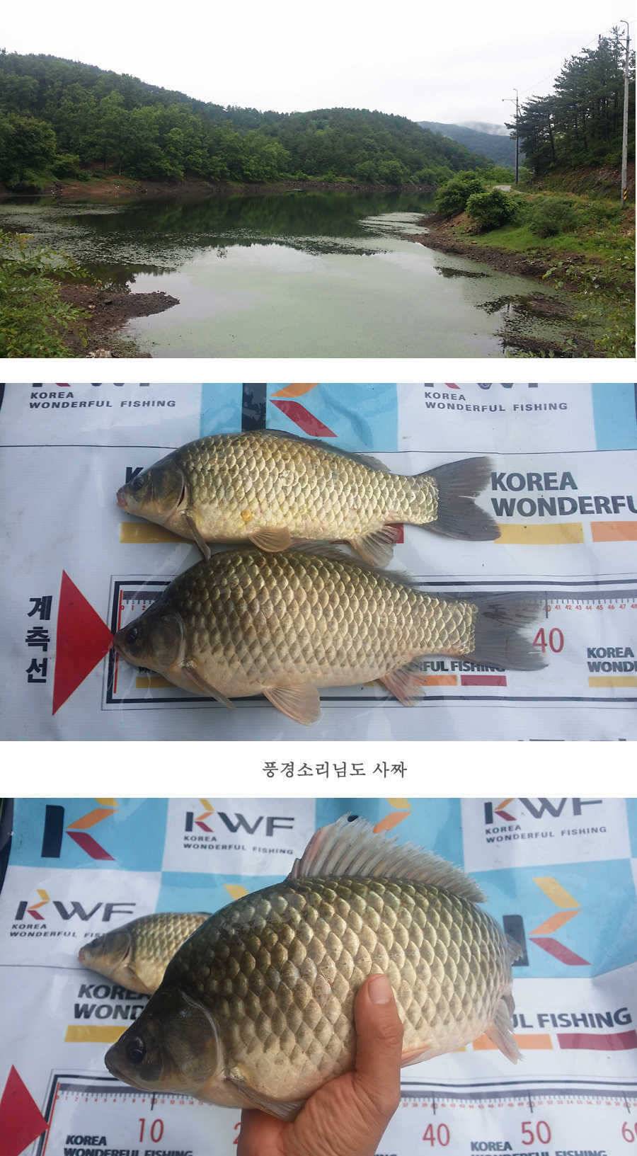 청도권 지난 조황입니다4046cm (조황조행기 - 특파원조황)