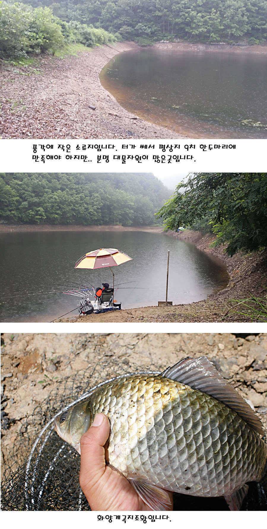 청도권 지난주 주중 조황정보 (조황조행기 - 특파원조황)