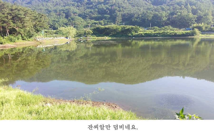 청도권 지난 조황입니다4046cm (조황조행기 - 특파원조황)