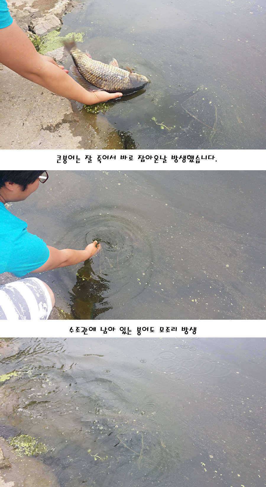 청도권 지난주 주중 조황정보 (조황조행기 - 특파원조황)