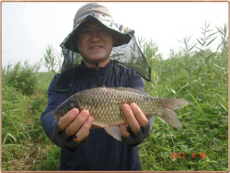 진위천 조황소식 (조황조행기 - 특파원조황)