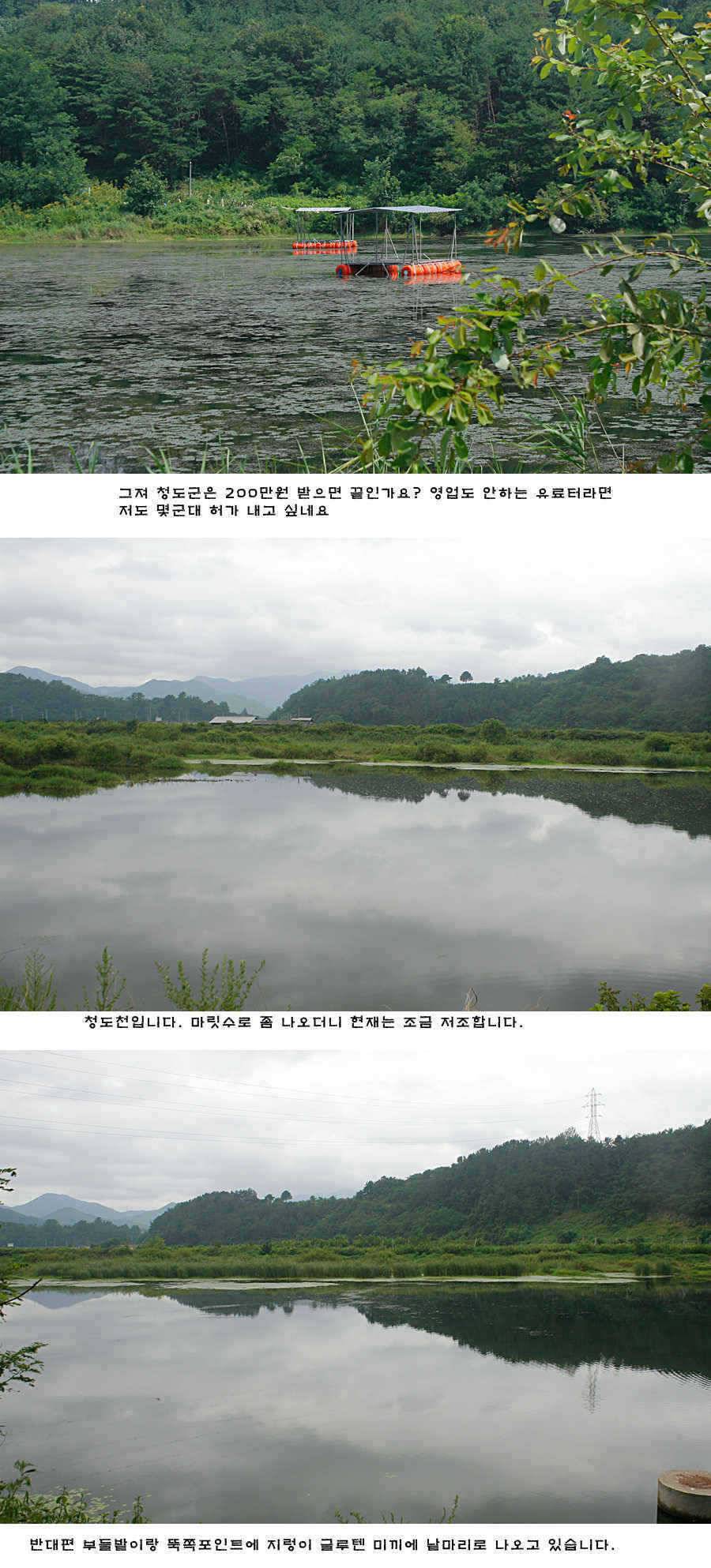 청도권 주중 조황정보 (조황조행기 - 특파원조황)