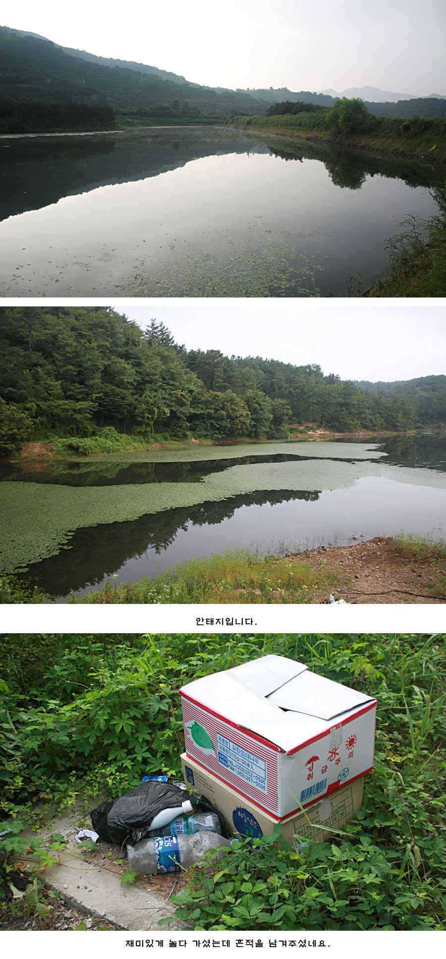 청도권 주중 조황정보 (조황조행기 - 특파원조황)