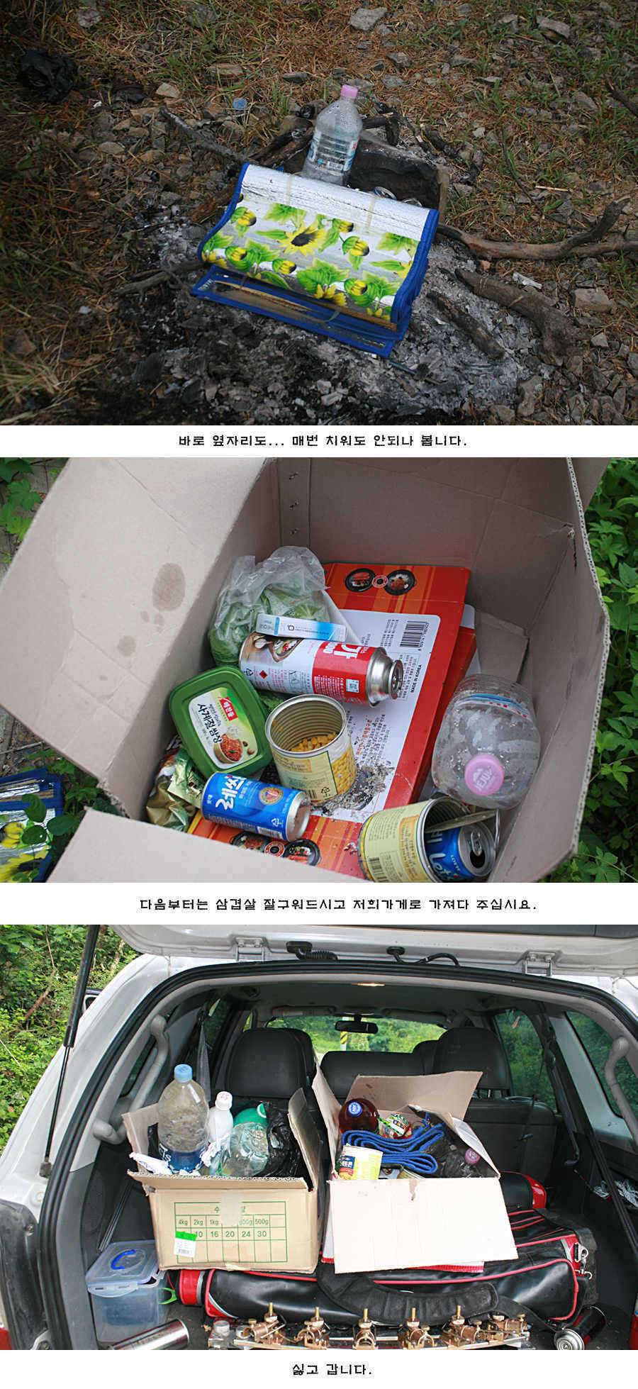 청도권 주중 조황정보 (조황조행기 - 특파원조황)