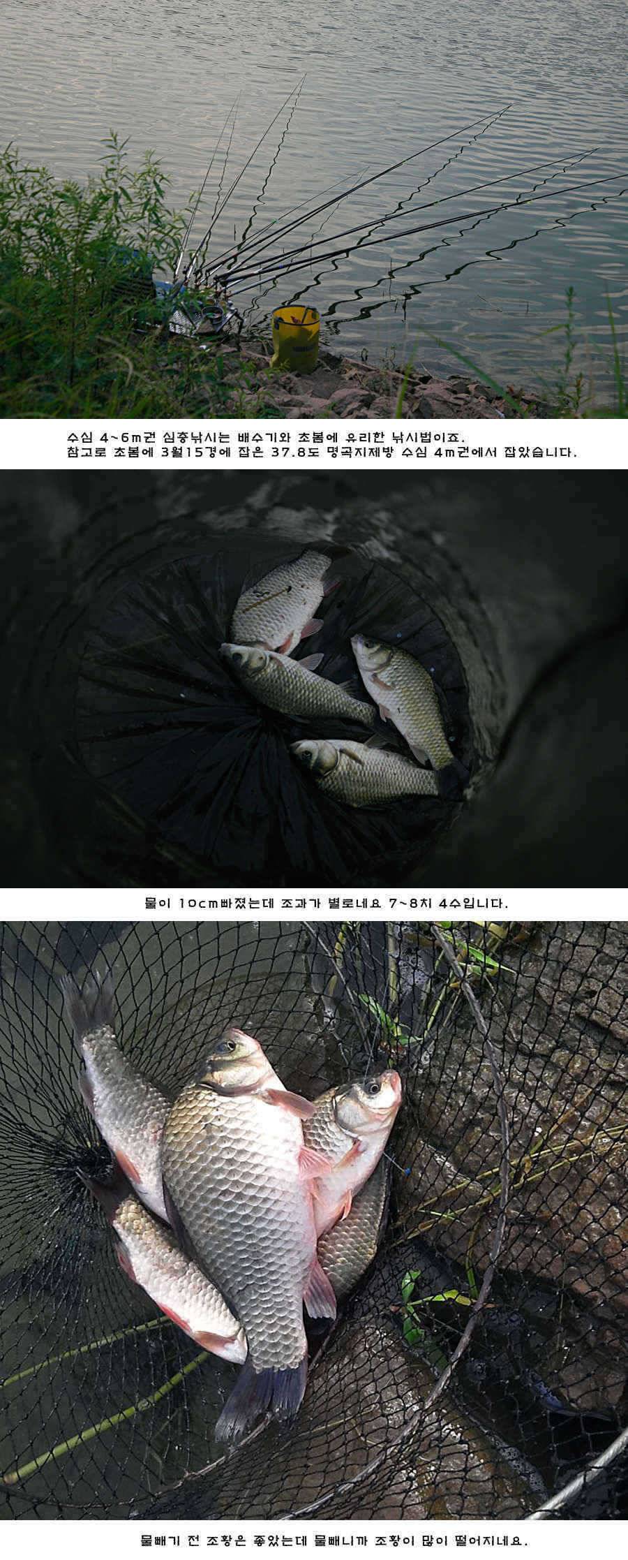 청도권 주중 조황정보 (조황조행기 - 특파원조황)