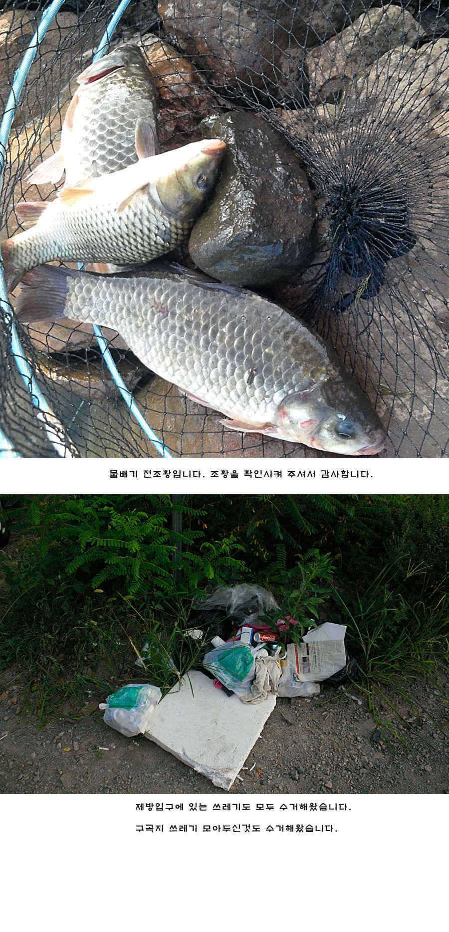 청도권 주중 조황정보 (조황조행기 - 특파원조황)