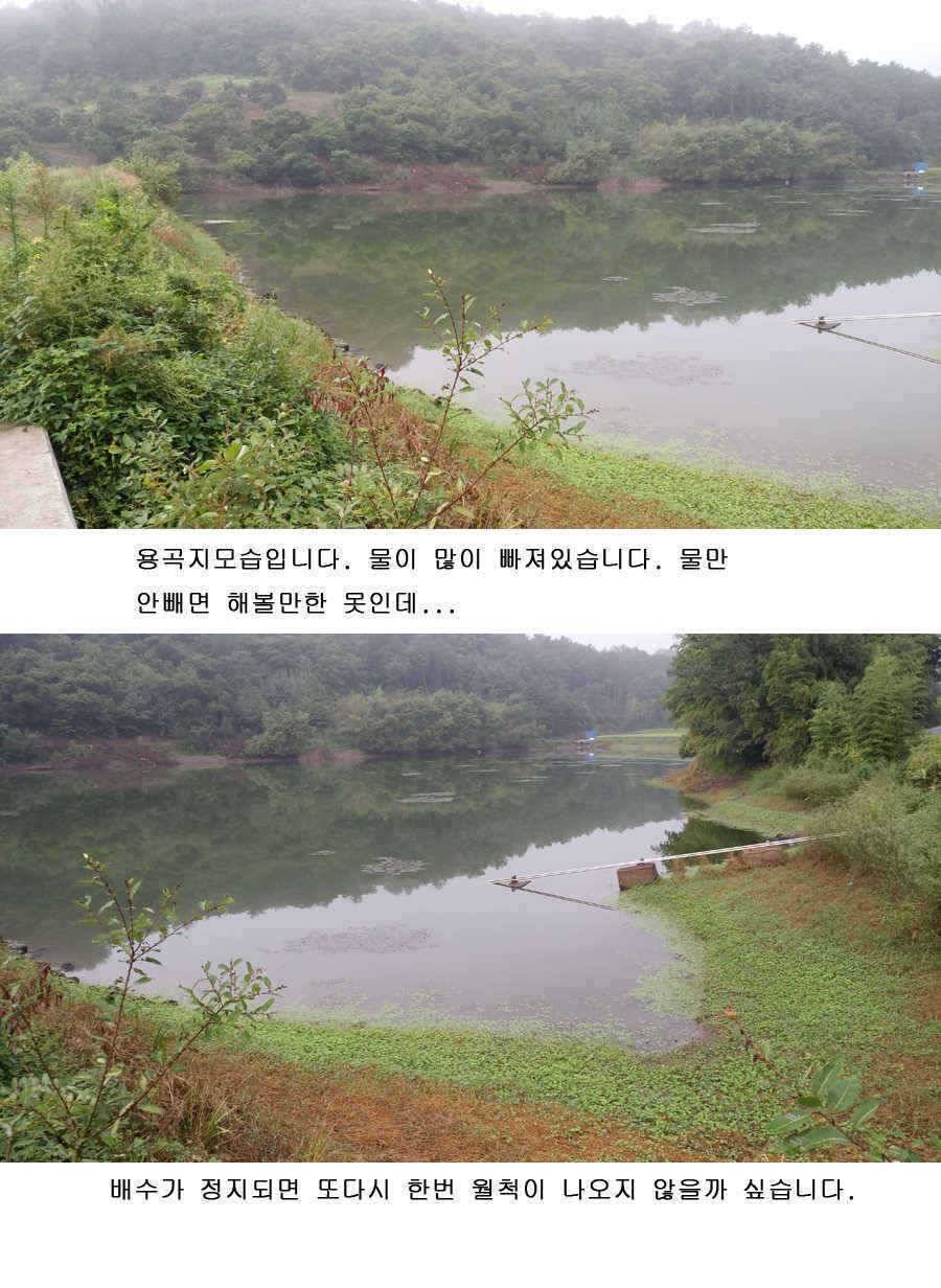 청도권 지난주말 및 주중조황 (조황조행기 - 특파원조황)