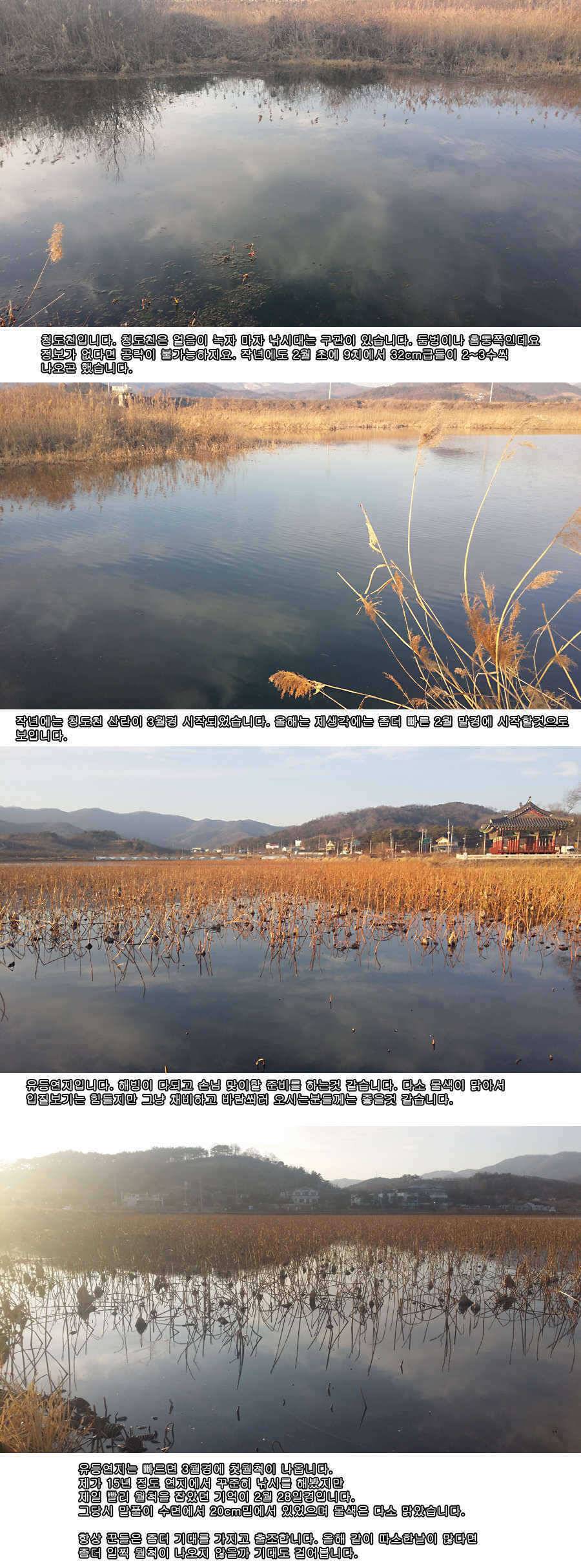 청도권 물낚시 시즌 개막 (조황조행기 - 특파원조황)