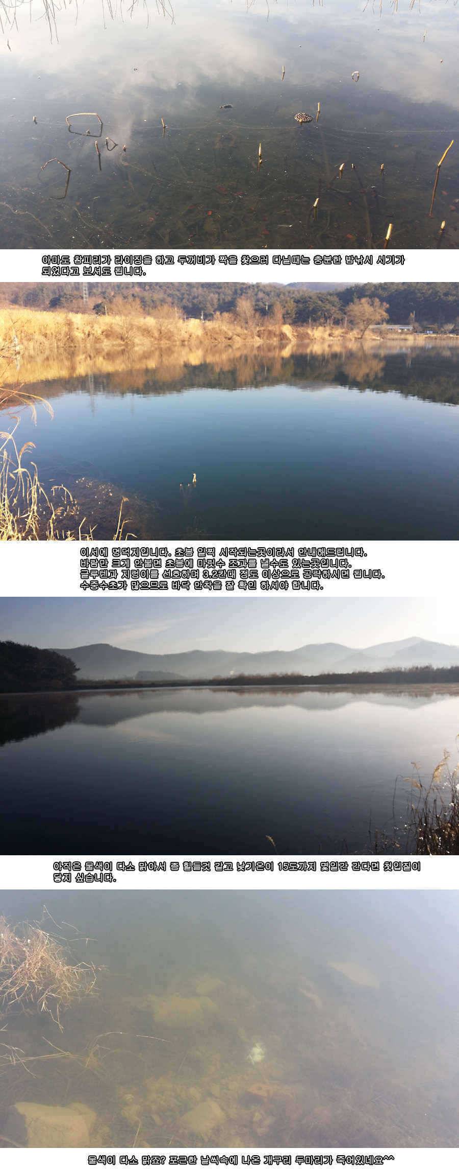청도권 물낚시 시즌 개막 (조황조행기 - 특파원조황)