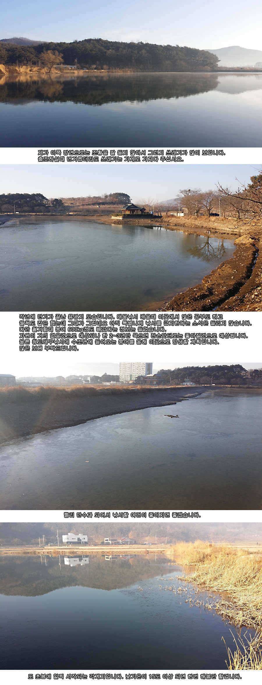 청도권 물낚시 시즌 개막 (조황조행기 - 특파원조황)