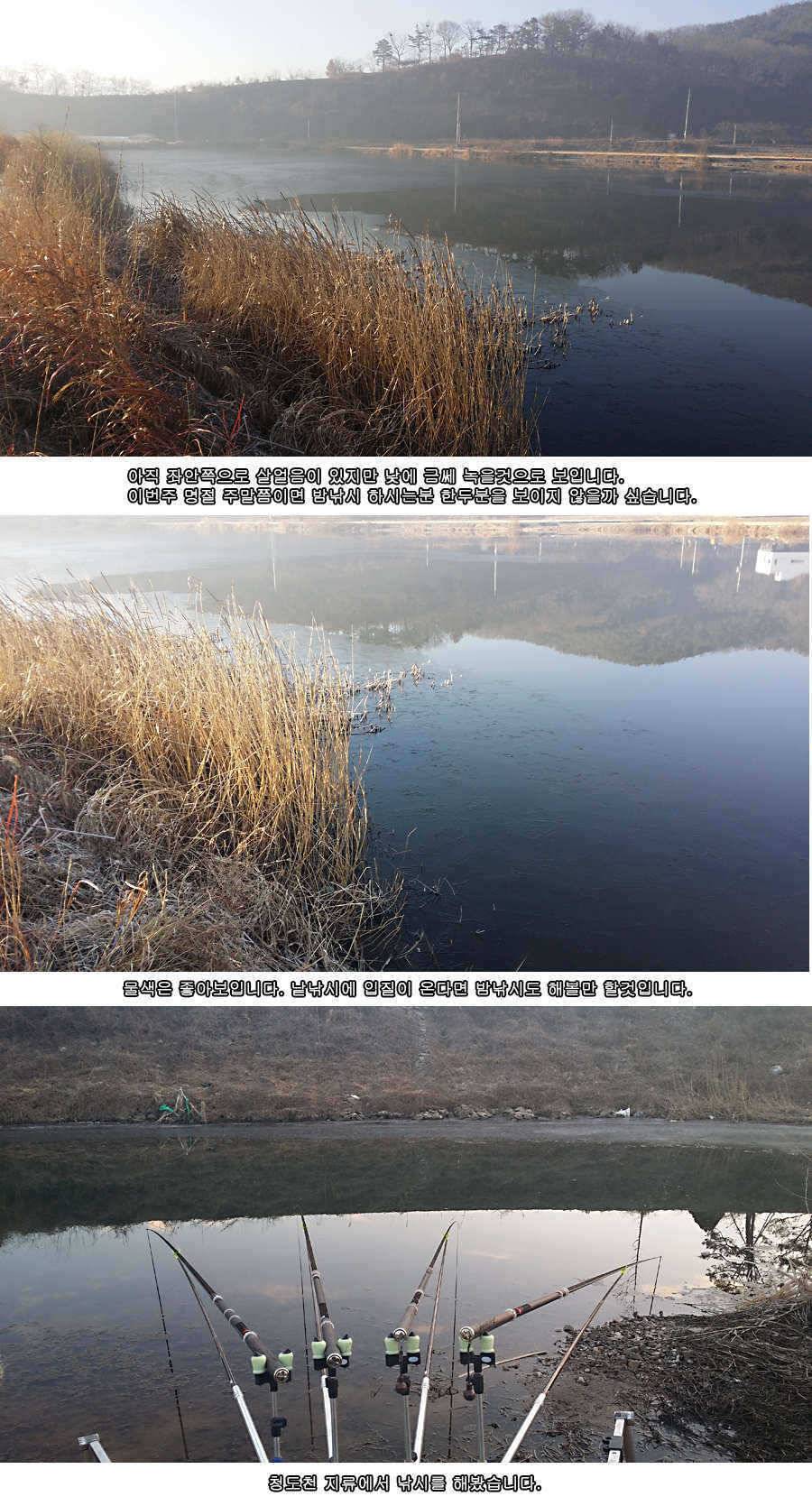 청도권 물낚시 시즌 개막 (조황조행기 - 특파원조황)