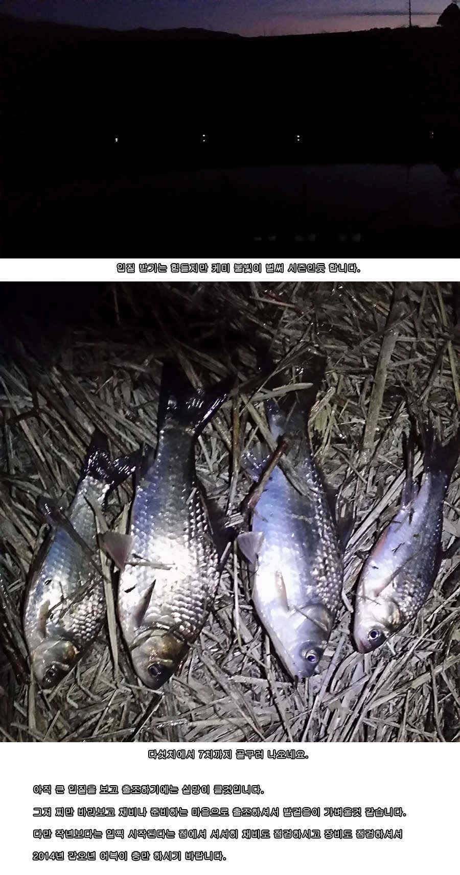 청도권 물낚시 시즌 개막 (조황조행기 - 특파원조황)