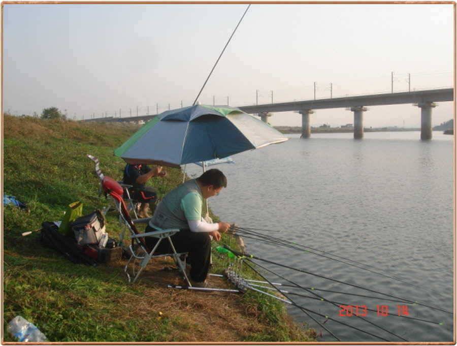 진위천 조황 소식 (조황조행기 - 특파원조황)