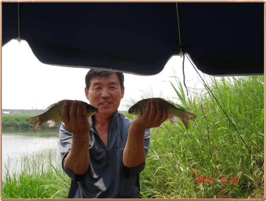 진위천 조황소식 (조황조행기 - 특파원조황)
