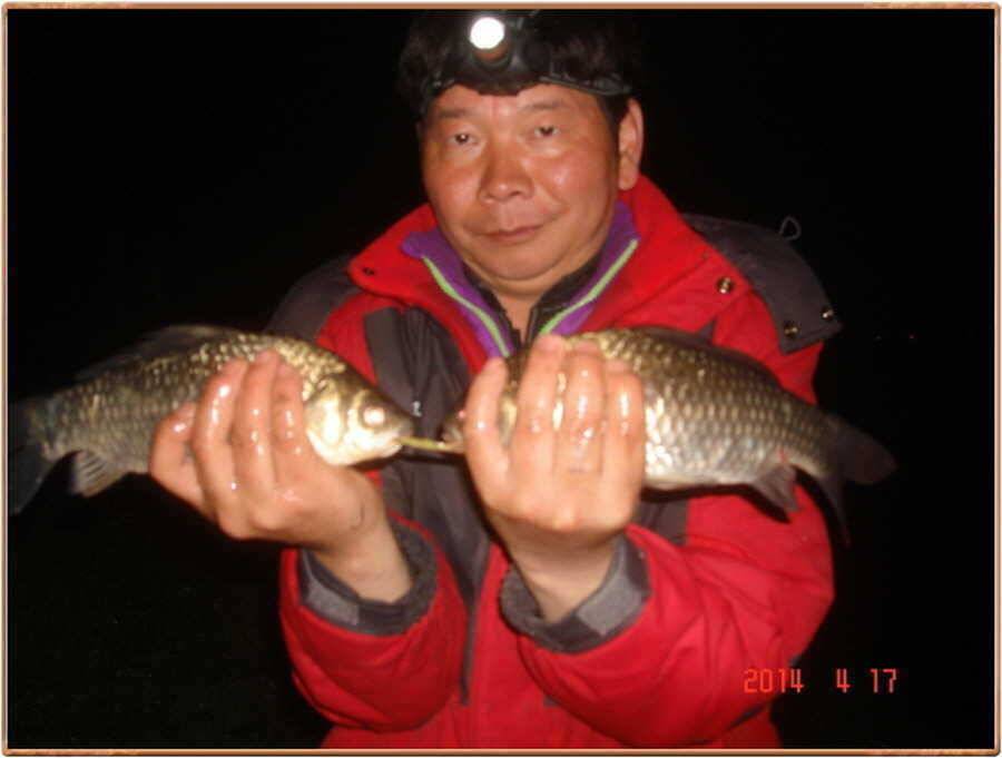 진위천 조황 소식 (조황조행기 - 특파원조황)