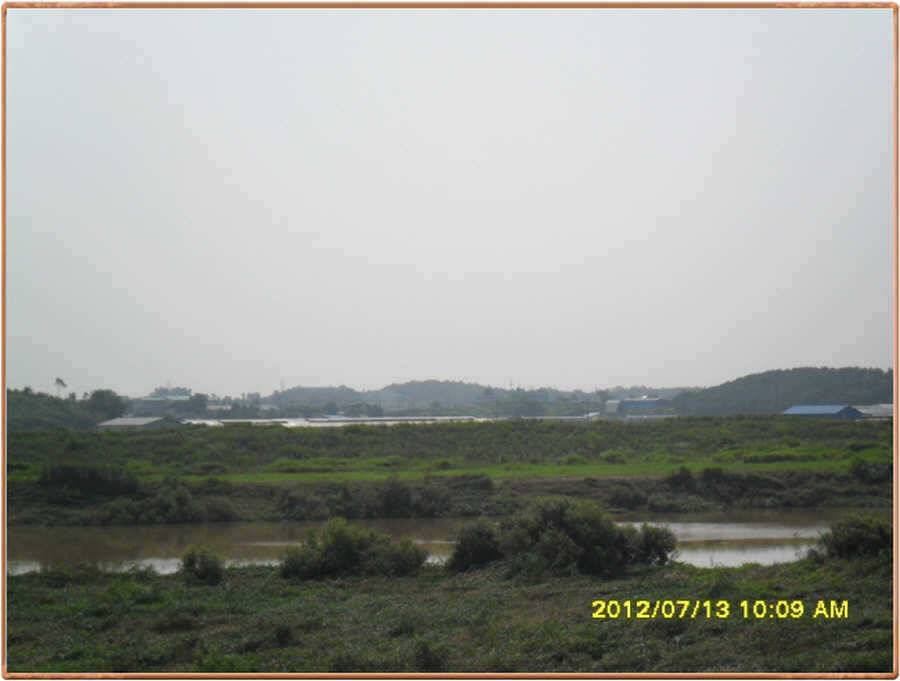 진위천 소식 (조황조행기 - 특파원조황)