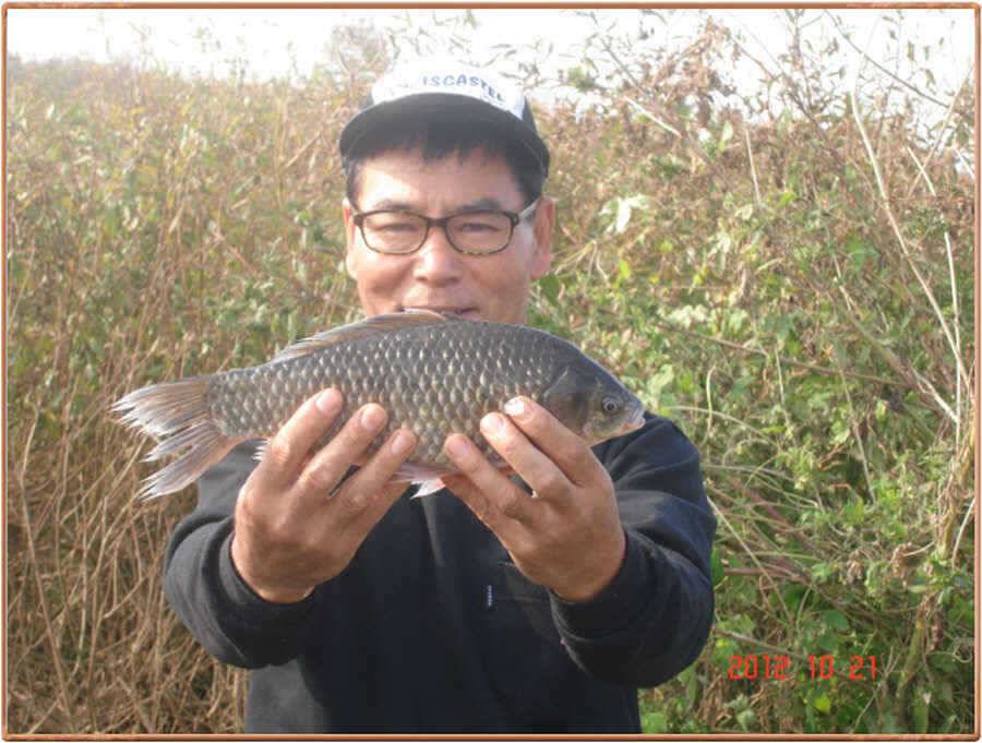 진위천 조황소식 (조황조행기 - 특파원조황)